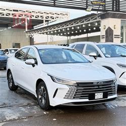 بي واي دي ديستروير 05